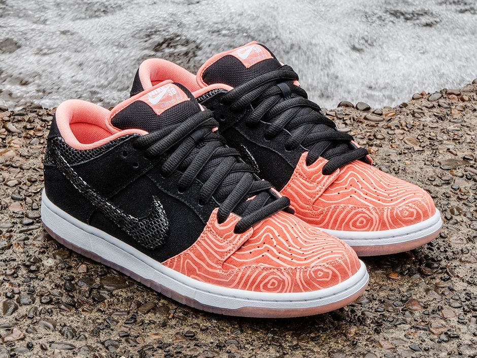 Nike SB Fish Ladder Collection - Dunk Low