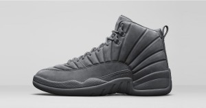 Nike Air Jordan 12 Public School