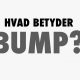 Hvad betyder Bump?