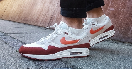 air max 1 mars stone