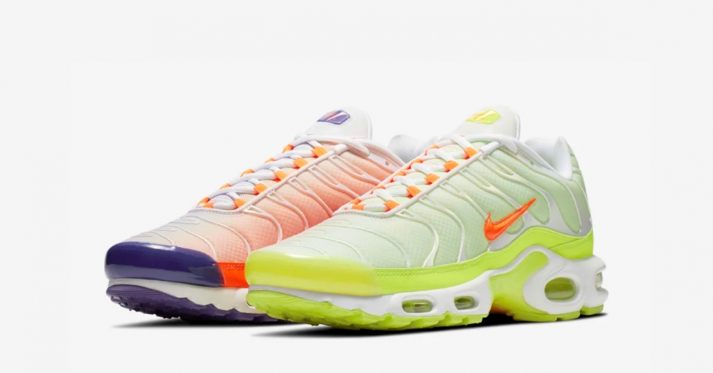 Nike Air Max Plus Color Flip