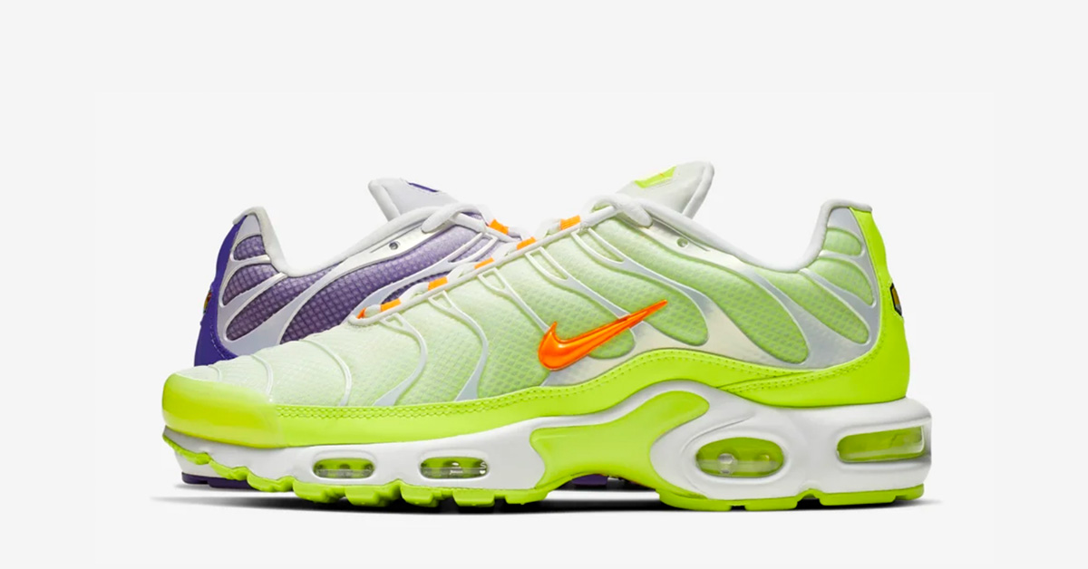 Nike Air Max Plus Color Flip