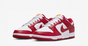 Nike Dunk Low Retro Rød Hvid DD1391-602