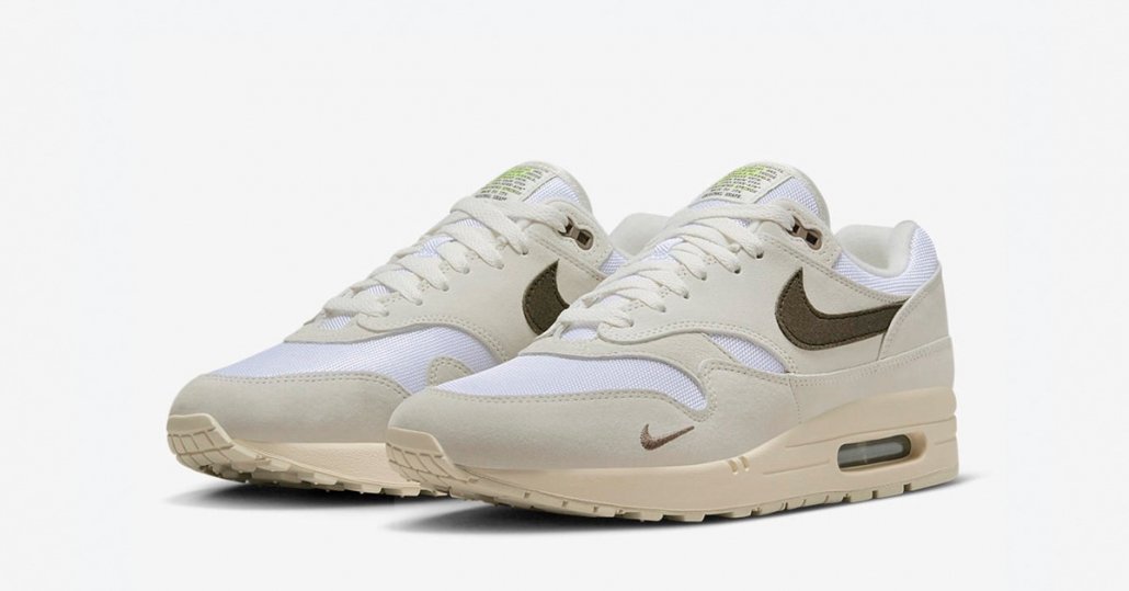 Nike Air Max 1 Iron Stone DZ4494-100