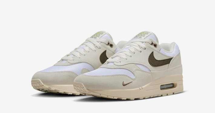 Nike Air Max 1 Iron Stone DZ4494-100