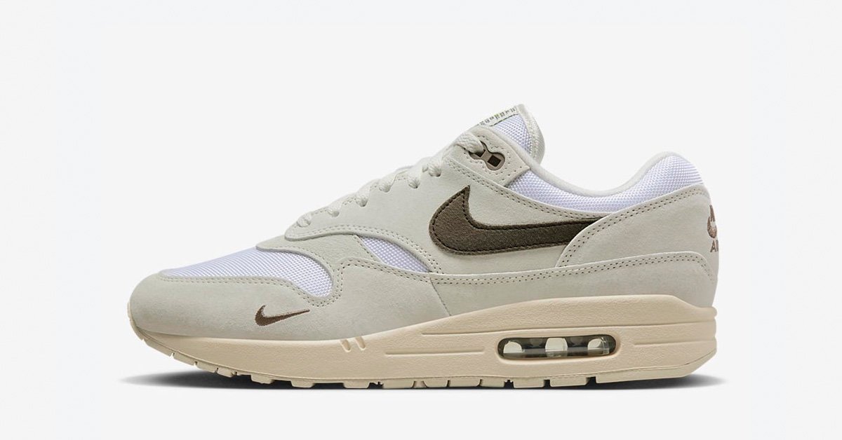 Nike Air Max 1 Iron Stone DZ4494-100