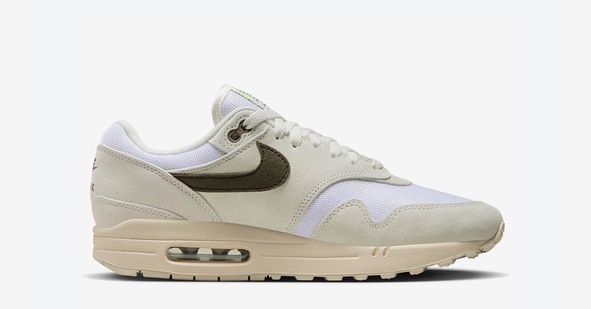 Nike Air Max 1 Iron Stone DZ4494-100