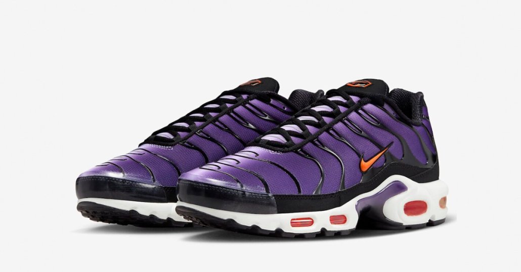 Voltage Purple Nike Air Max Plus DX0755-500