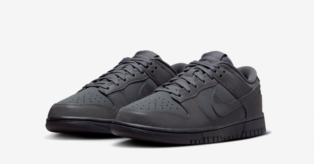 Nike Dunk Low FZ3781-060 Reflective