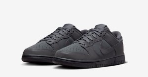 Nike Dunk Low FZ3781-060 Reflective