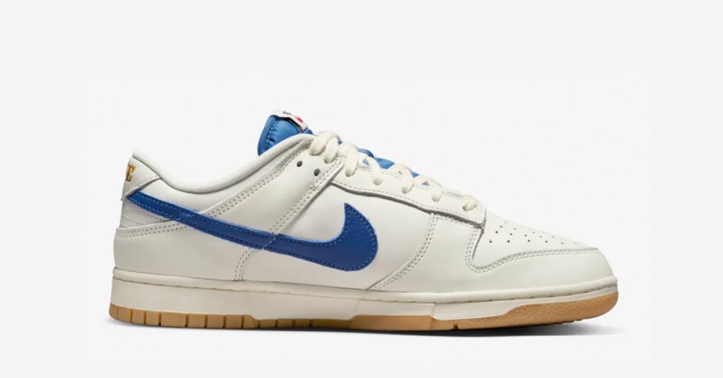 Nike Dunk Low SE DX3198-133